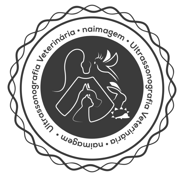 Logo Naimagem carimbo