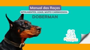 manual-das-raças-doberman