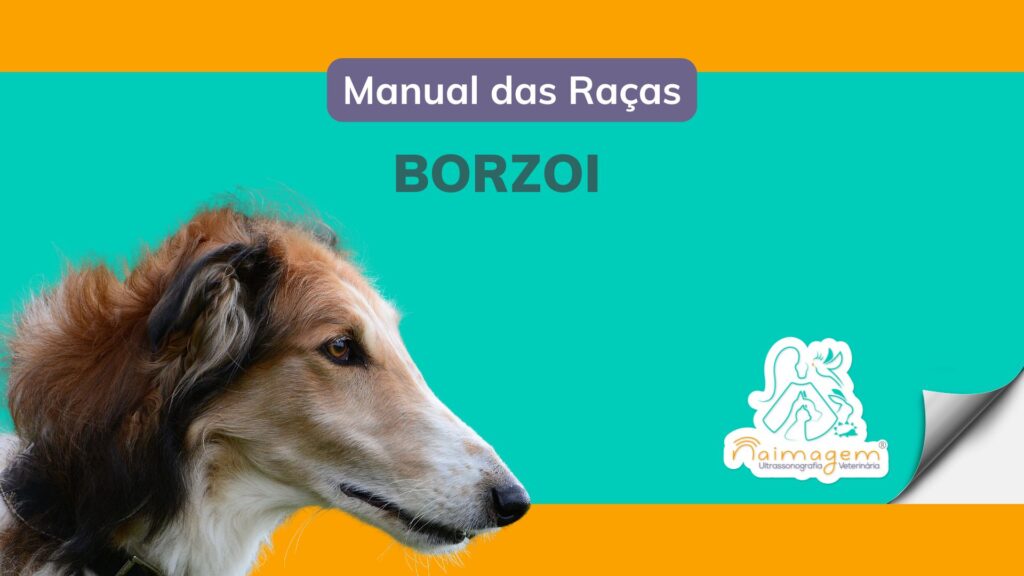 manual-das-racas-borzoi